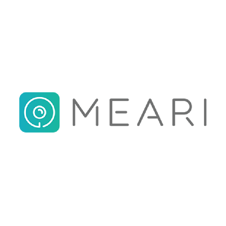 MEARI logo original